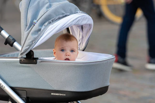 Riga, Latvia - August 16, 2019: a young child sitting in a stroller and watching what is happening around — 스톡 사진