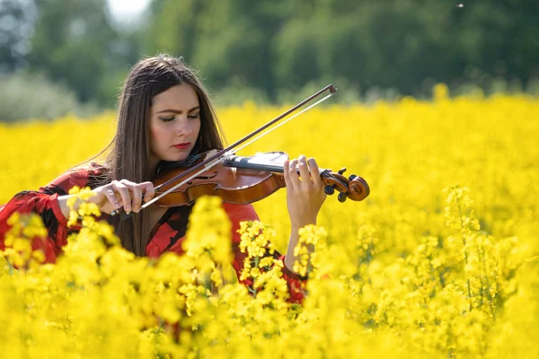 Mujer joven parada en el campo de colza de semillas oleaginosas amarillas y tocando el violín — Foto de Stock