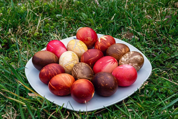 White Plate Colored Easter Eggs Green Grass Image — Stock Photo, Image