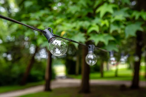 light bulb decor in outdoor party, a garland of light bulbs hanging between the trees