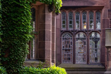 Princeton, NJ, ABD - 16 Haziran 2019: sürünen bitkiler, Princeton Üniversitesi eğitim binalarının duvarlarında sarmaşık, bitkiler ve manzara tasarımı