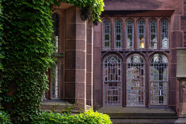Princeton Usa Czerwca 2019 Pełzające Rośliny Bluszcz Ścianach Budynków Edukacyjnych — Zdjęcie stockowe