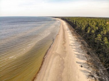 Letonya, Jurmala yakınlarındaki Baltık deniz kıyısı ve ormanlarının hava manzarası