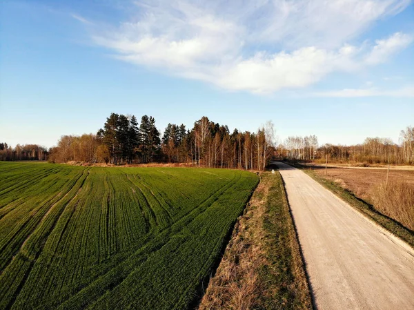 Letecký Pohled Zelená Zemědělská Pole Venkovskou Silnici Jaře Čerstvou Vegetací — Stock fotografie