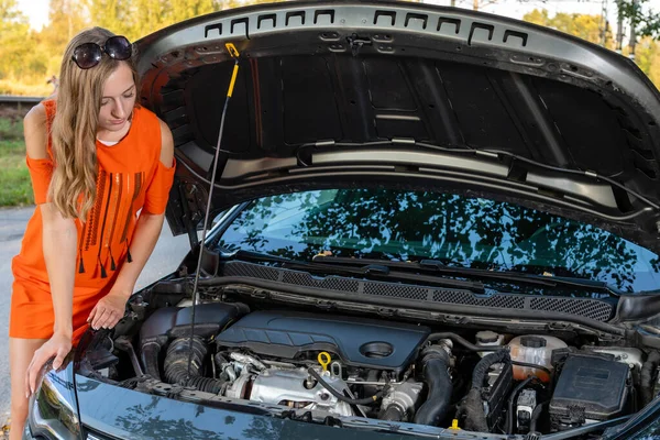 Hübsche Junge Frau Straßenrand Nach Einer Autopanne Image — Stockfoto