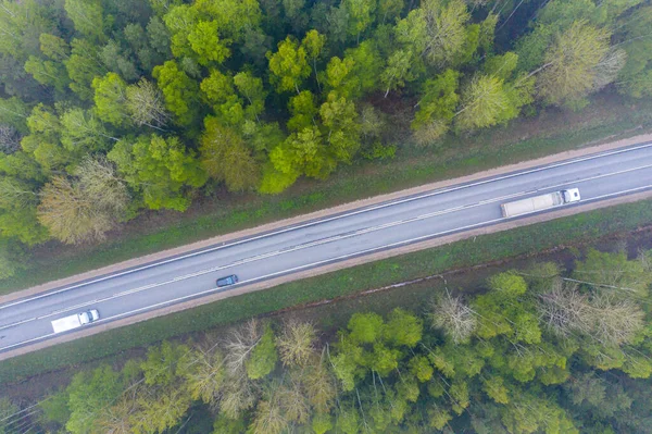 緑の木々の間の朝の霧を通して森の中の車で道路 トップビュー — ストック写真