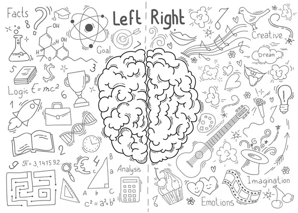 Concepto del cerebro humano — Vector de stock