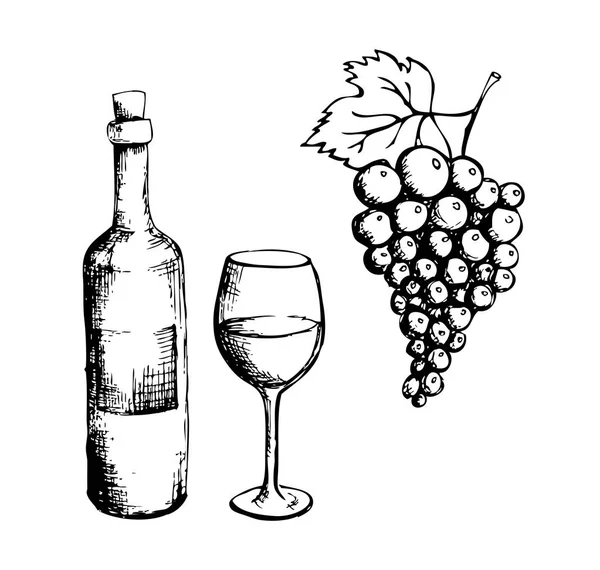 Schizzo di bottiglia di vino, vetro e uva — Vettoriale Stock