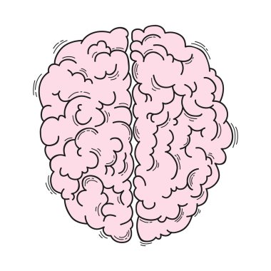 Tıbbi tasarım için insan beyni