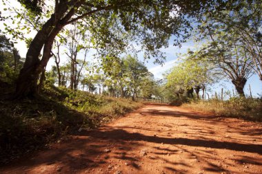 Karayipler doğa ve manzara