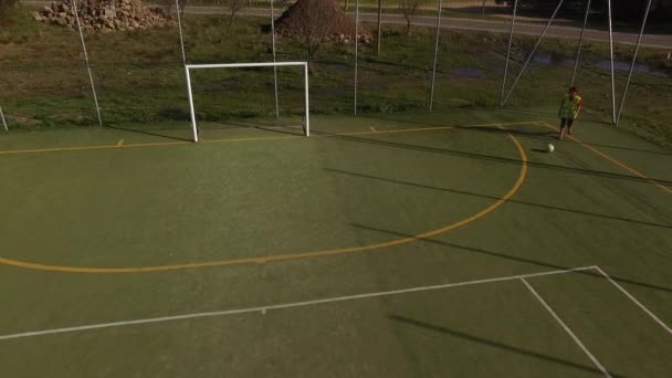 Visão aérea de uma menina que marca gols em um campo de futebol 5-a-side — Vídeo de Stock