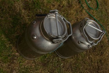 Biberiye bitkilerinin yanındaki yeşil çayırın ortasında çeliklerden yapılmış süt vazosunu kapat.