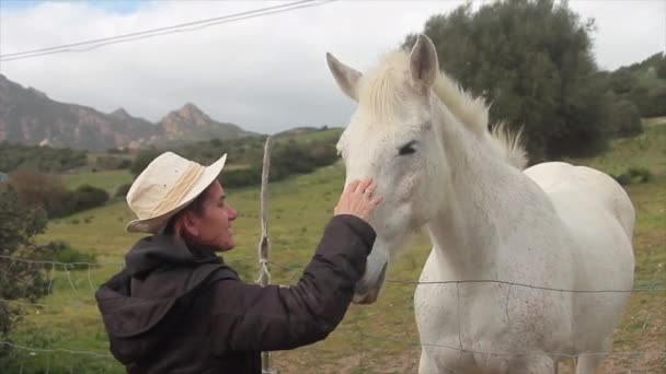 Caballo Blanco Prado Verde Recibiendo Abrazos Vaquera Con Sombrero Vaquero — Vídeo de stock