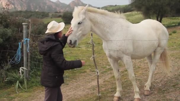 Caballo Blanco Prado Verde Recibiendo Abrazos Vaquera Con Sombrero Vaquero — Vídeos de Stock