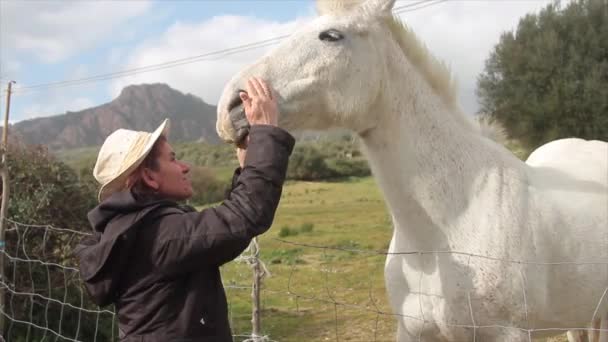 Wit Paard Groene Weide Ontvangt Knuffels Van Zijn Cowgirl Met — Stockvideo