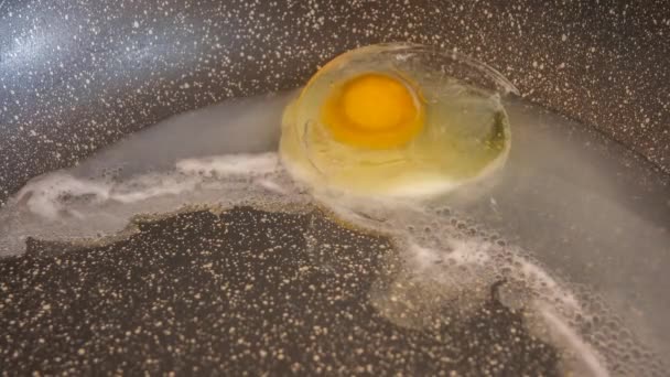 time lapse stop motion oeuf de taureau congelé cuit sur une poêle antiadhésive qui cuit lentement 