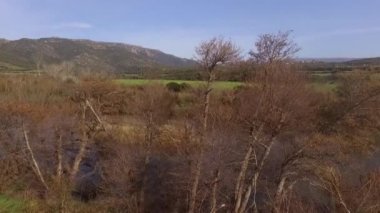 Sardunya 'daki göl ve Coghinas nehrinin, insansız hava aracıyla ağaçlara ve tarımsal alanlara sarılı olduğu hava manzarası.
