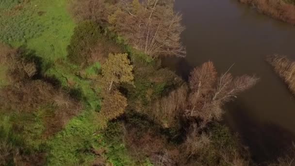Flygfoto Över Överflygning Sjön Och Coginas Floden Sardinia Insvept Träd — Stockvideo