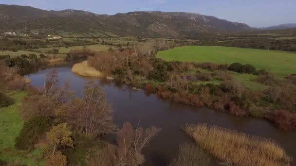 用无人驾驶飞机环绕着树木和农田 俯瞰撒丁岛湖面和科吉纳河的空中景观 — 图库视频影像