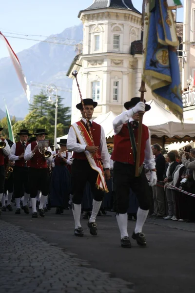 Tipik Müzik Grupları Ile Güney Tyrol Merano Üzüm Festivali Şehir — Stok fotoğraf