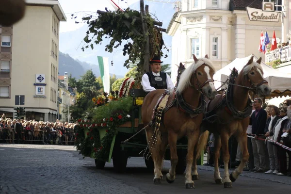 Meraner Traubenfest Südtirol Mit Typischen Musikkapellen Und Typischer Tiroler Tracht — Stockfoto