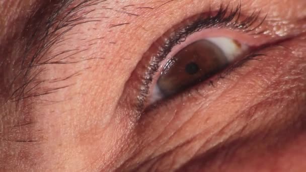 Close Eye Eyelid Opens Closes Pupil Eye Moves — Stock Video