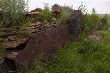 Porsuk kütüğü (Ölü Krallar Vadisi) tepeciği, sadece Hakass bozkırlarında 100 bin mezar yığını bırakan İskitler tarafından dikildi.
