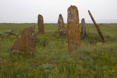 Living Menhirs of Khakassia, at night it seems that they move clipart
