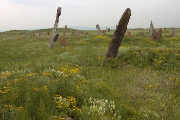Khakassia 'nın yaşayan Menhir' leri, geceleri hareket ediyor gibiler.