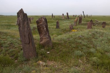 Forest mysterious menhirs in Khakassia, they say come to life at night