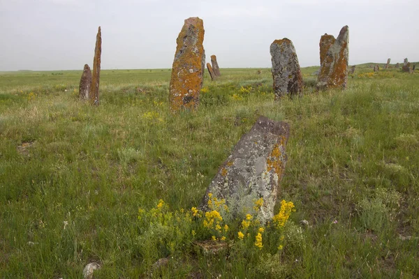 Forest mysterious menhirs in Khakassia, they say come to life at night