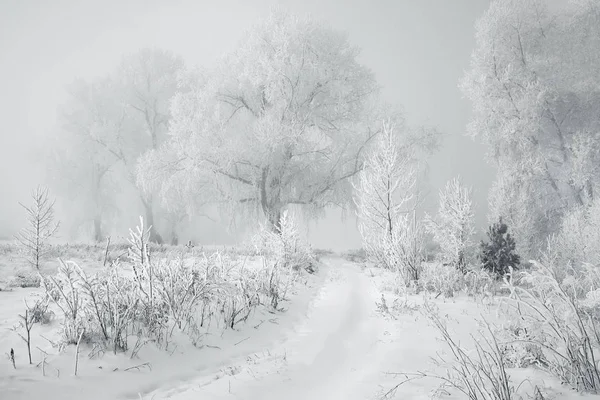 Yenisei nehri bölgesindeki Krasnoyarsk bölgesi.