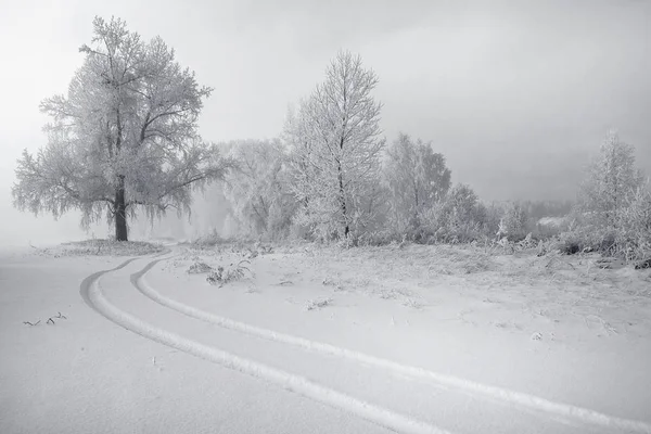 Sibirya Krasnoyarsk bölgesi p Dodonovo 
