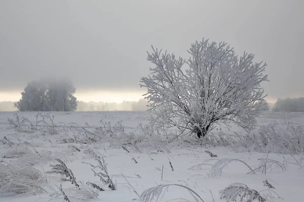Sibirya Krasnoyarsk bölgesi p Dodonovo 