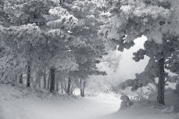 Sibirya Krasnoyarsk bölgesi p Dodonovo 