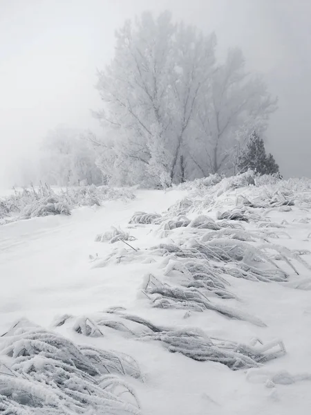 Sibirya Krasnoyarsk bölgesi p Dodonovo 