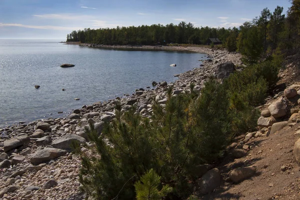 Baykal Gölü 'nün kuzeyinde, Severobaikalsk bölgesinde.