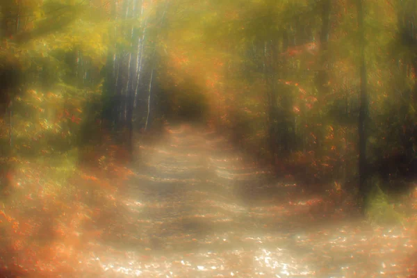 Baykal Gölü 'nün kuzeyinde, Severobaikalsk bölgesinde.