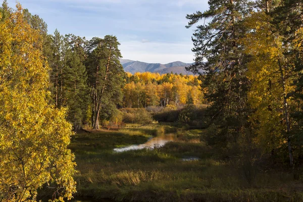 Baykal Gölü 'nün kuzeyinde, Severobaikalsk bölgesinde.