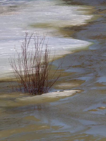 Baykal Gölü 'nün kuzeyinde, Severobaikalsk bölgesinde.