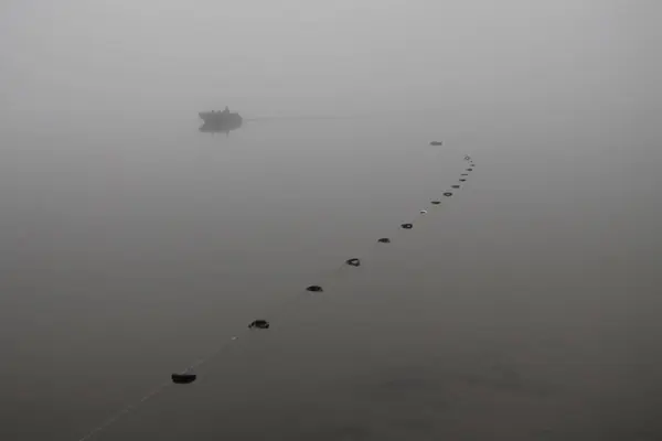 Taimyr, Pyasino Gölü, Temmuz, buz, tundra, sis, gün, balıkçı