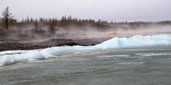 Taimyr, Pyasino Gölü, Temmuz, buz, tundra, sis, gün, balıkçı