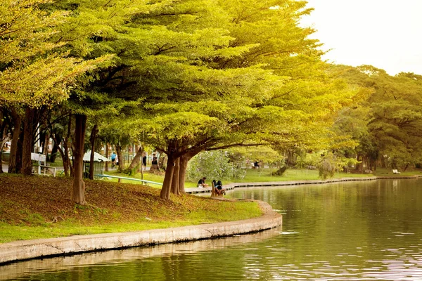 Sonbahar parkta. Sarı yapraklar Park.