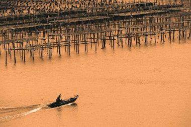 Fishing boat in farm with sunshine