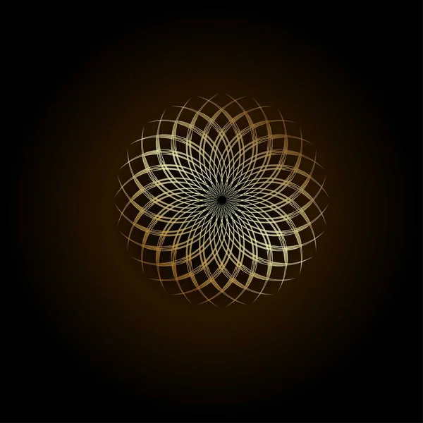 Altın oran vektör çizim