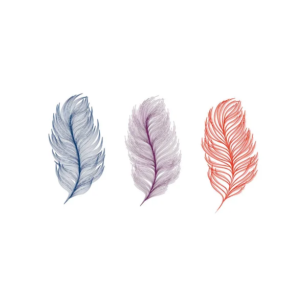 Feather symbol vector illustration — Stock Vector