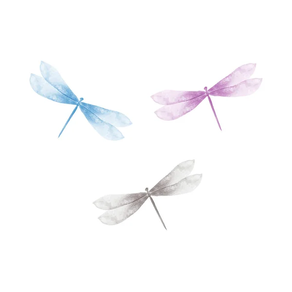 Dragonfly vektor illustration — Stock vektor