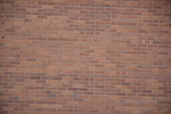 Schöner Hintergrund Und Textur Und Wand — Stockfoto