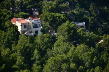 Güzel manzara, yeşil bitkiler ve dağlar.