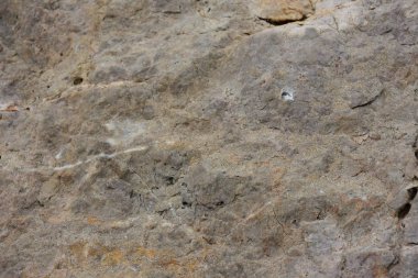 güzel arkaplan, doku ve duvar